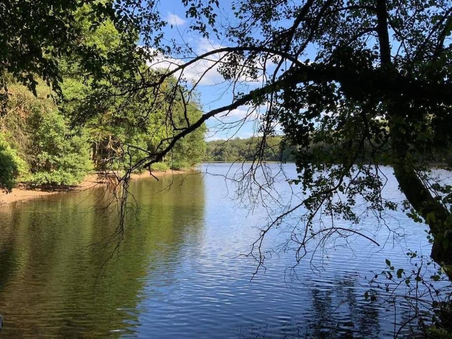 Gite N°4, En Pleine Nature, Frontalier Signy-le-Petit Zewnętrze zdjęcie
